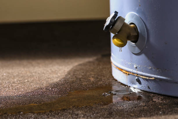 Best Water damage mitigation services  in Brookland, AR