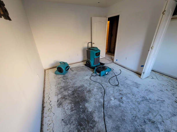 Water damage restoration experts in Brookland, AR