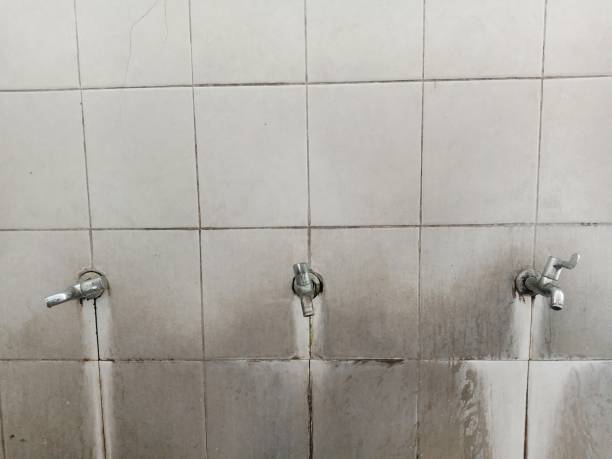 Best 24/7 water damage repair  in Brookland, AR