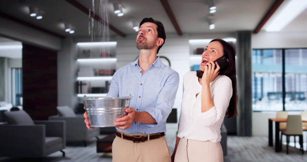 Best Basement water damage restoration  in Brookland, AR
